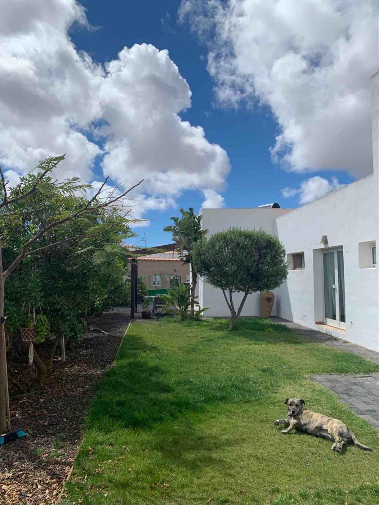 Joy Apartment Lajares Exterior photo